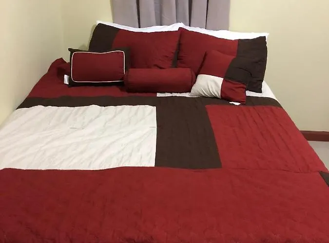 Peace Of Mind- Serenity Palm