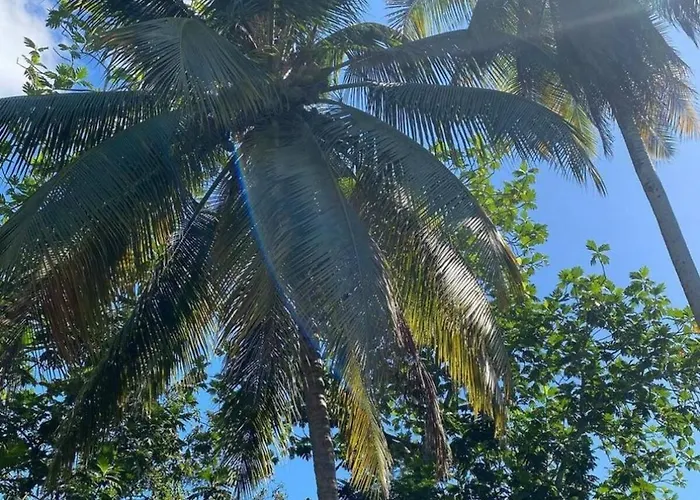 Jamaica Like A Local, A Perfect Girls' Getaway With Curated Excursions